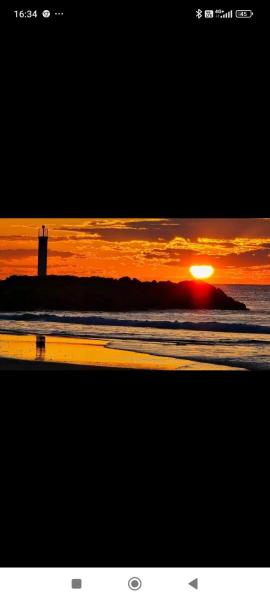 studio au cap d'agde dans les pinèdes